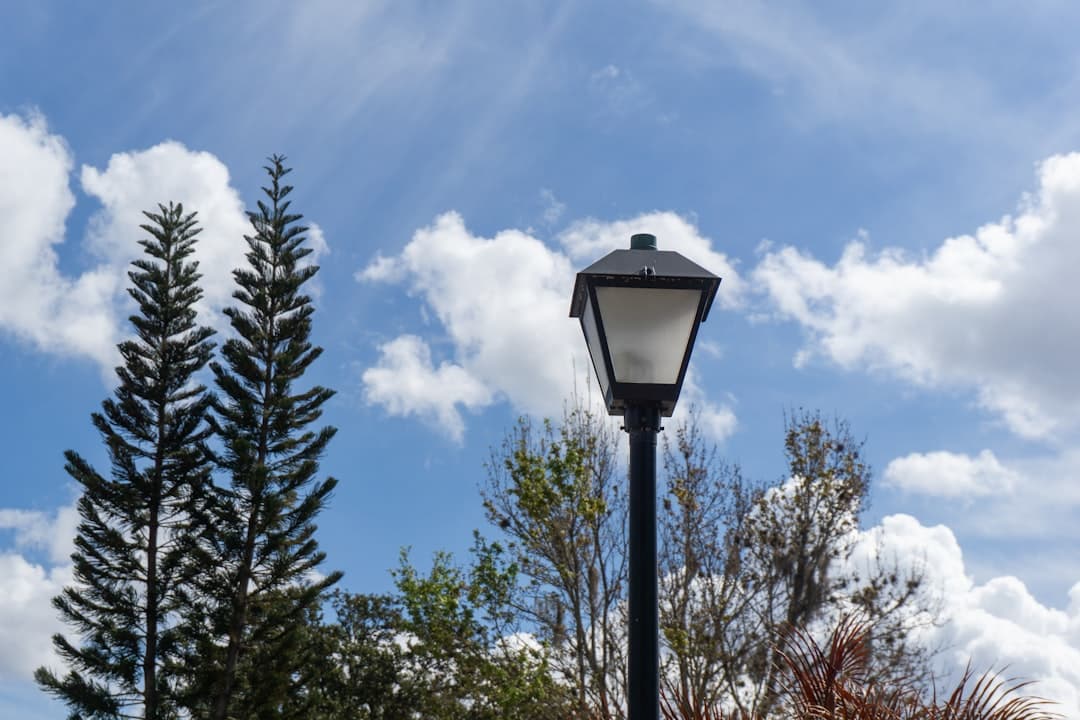 Florida suburban neighborhood with HOA community common areas and homes